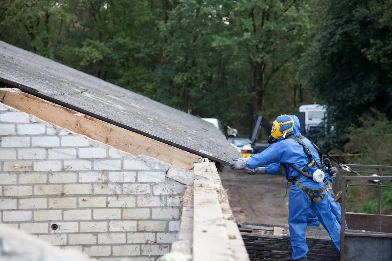 At House Demolition Wellington, we do expert site preparation that maximizes property value and ensures smooth project outcomes.
